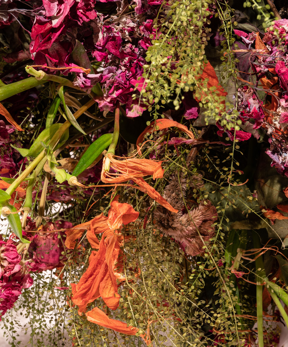 botanicals-4