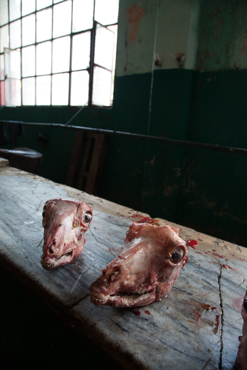 whatremains-23-new